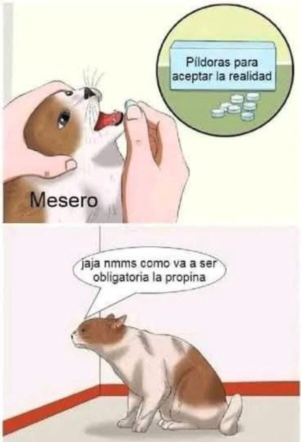 Meme_otros - Si los camareros aceptaran la realidad