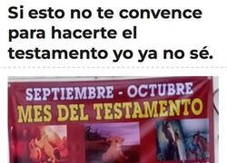 Enlace a No cometas el error de Mufasa