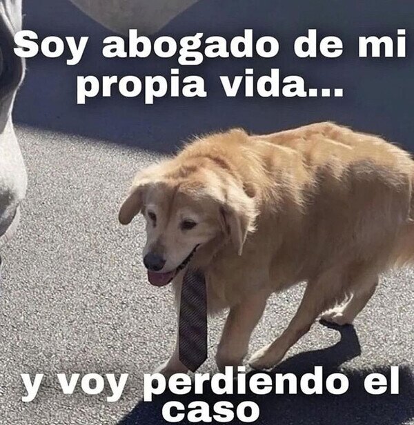 Meme_otros - Caso perdido