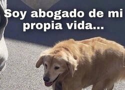 Enlace a Caso perdido