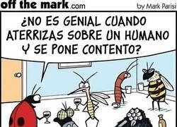 Enlace a El único bicho que nos cae bien