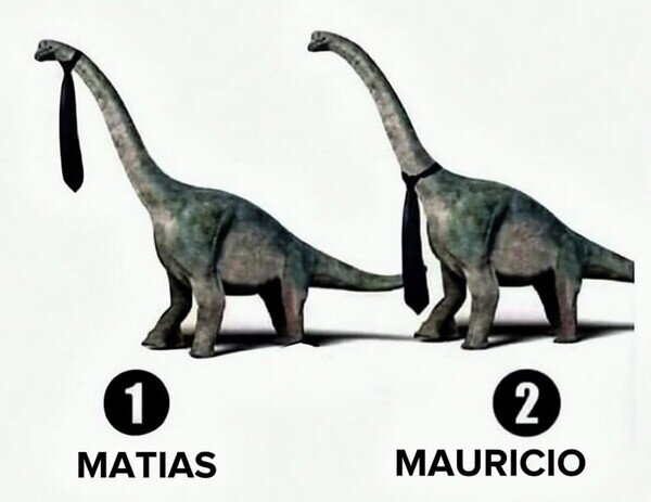 Otros - ¿Team Matías o Team Mauricio?