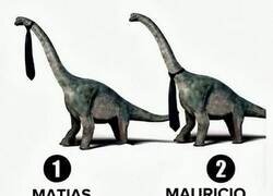 Enlace a ¿Team Matías o Team Mauricio?