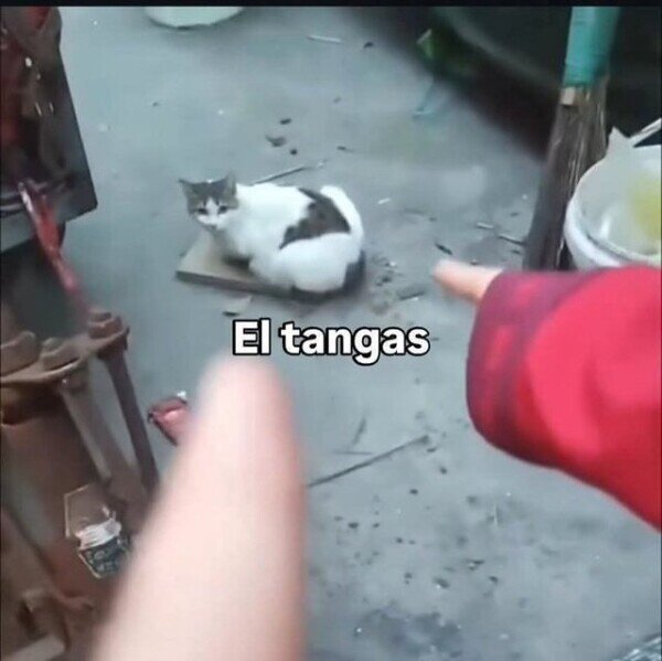 Meme_otros - El nombre que se merecía