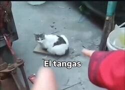 Enlace a El nombre que se merecía