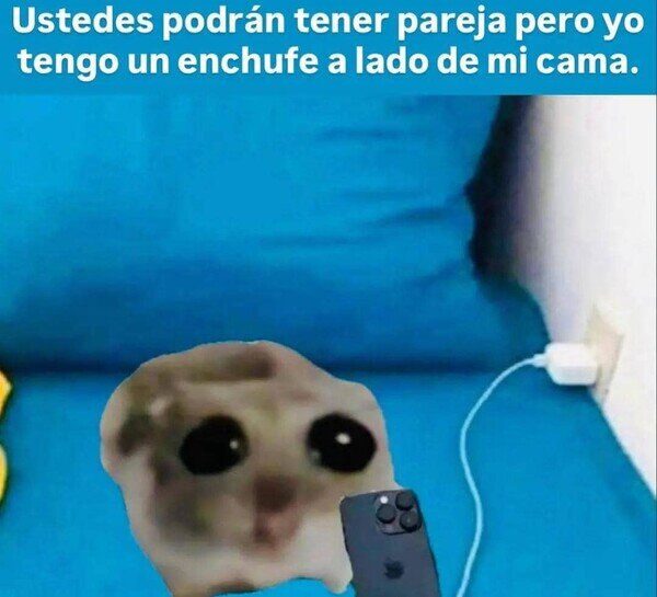 Meme_otros - Ni una pareja te puede dar ese nivel de satisfacción
