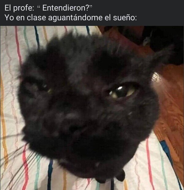 Meme_otros - No entendí nada de las dos horas de clase