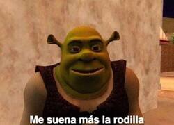 Enlace a ¿Alguien sabe como poner en silencio la rodilla?