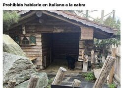 Enlace a Ya no se puede hacer nada