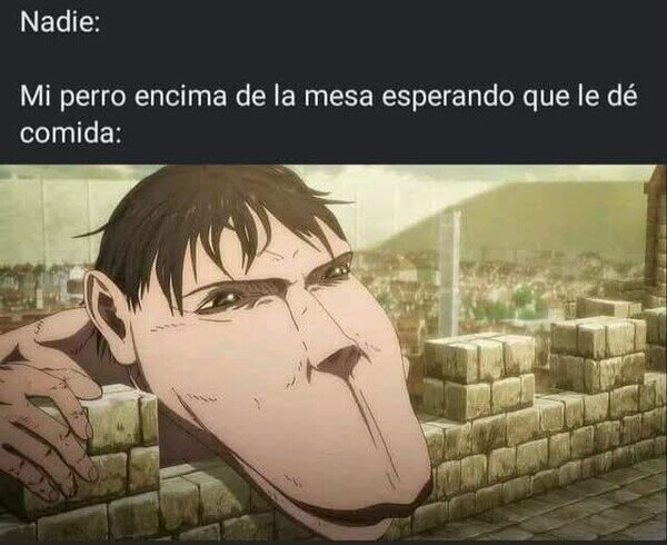 Meme_otros - Maldito pedigüeño