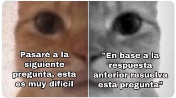 Otros - Estamos jod*dos