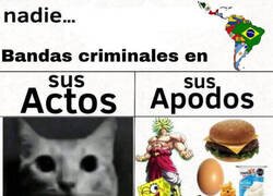 Enlace a Parecen hasta majos con según que apodo