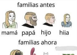 Enlace a El modelo de familia tradicional ha cambiado