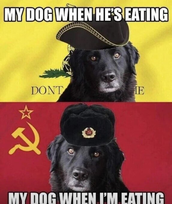 Meme_otros - La ideología cambiante de mi perro