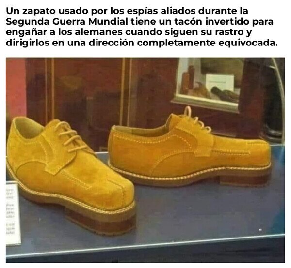 Otros - La curiosidad del día