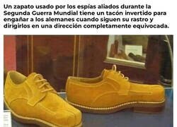 Enlace a La curiosidad del día