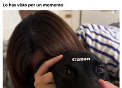 Enlace a Mi perro Canon