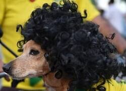 Enlace a Agora soy brasilero