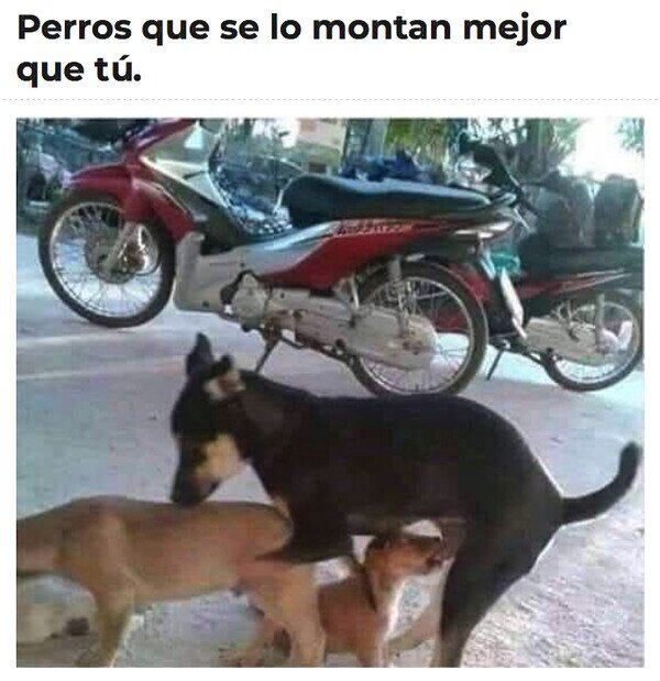 Meme_otros - Qué bien se lo están pasando