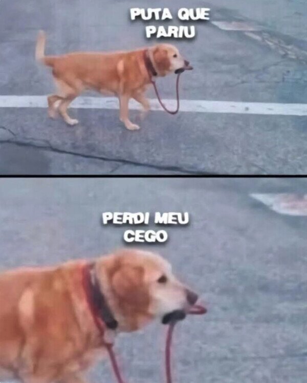 Meme_otros - Cuando pierdes a tu ciego