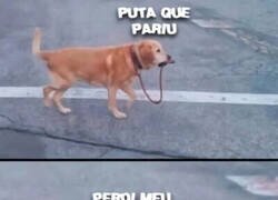 Enlace a Cuando pierdes a tu ciego