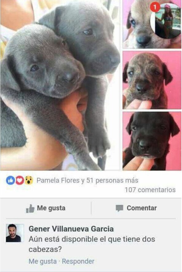 Meme_otros - Quiero ese