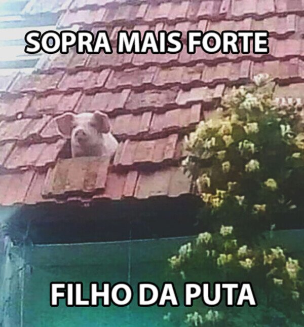 Meme_otros - Los memes en portugués ganan mucho