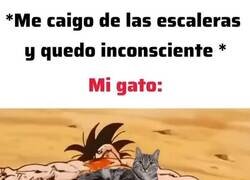 Enlace a No le importo nada