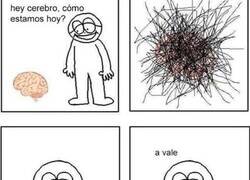 Enlace a Mi cerebro un día tranquilo
