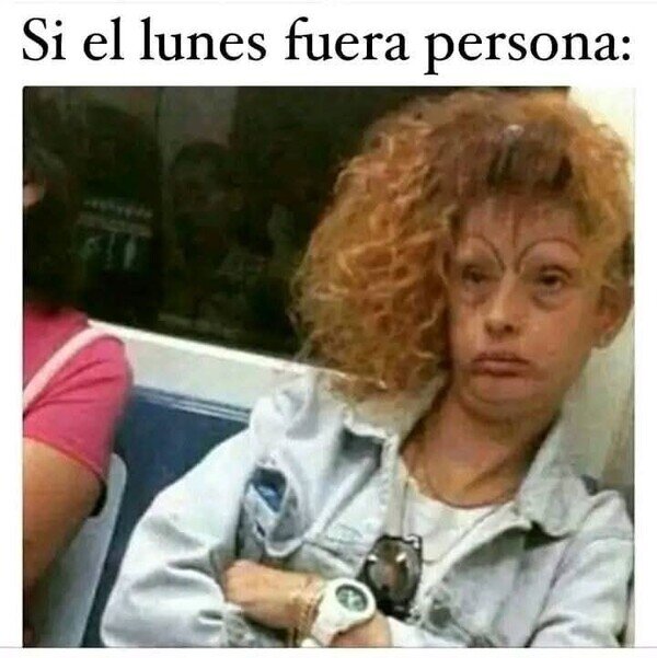 Meme_otros - La señora Lunes