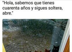 Enlace a Cuando los gatos vienen a ti