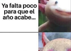 Enlace a Ya queda nada