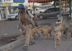 Enlace a Lánzame a los lobos