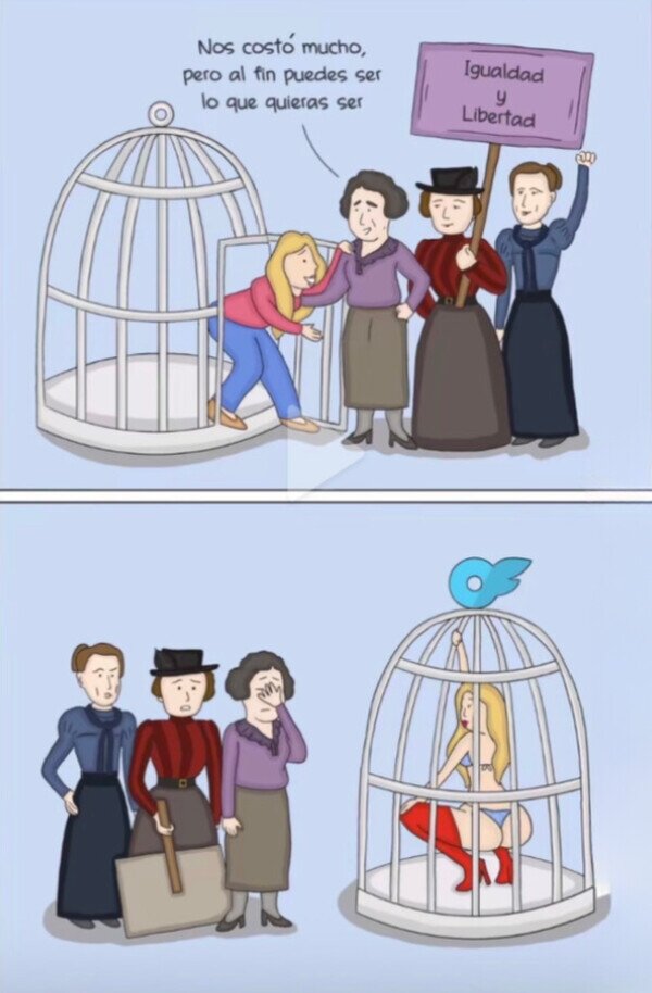 Meme_otros - El feminismo no luchó para esto