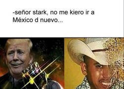 Enlace a Trump quiere deportar a la mitad de la población