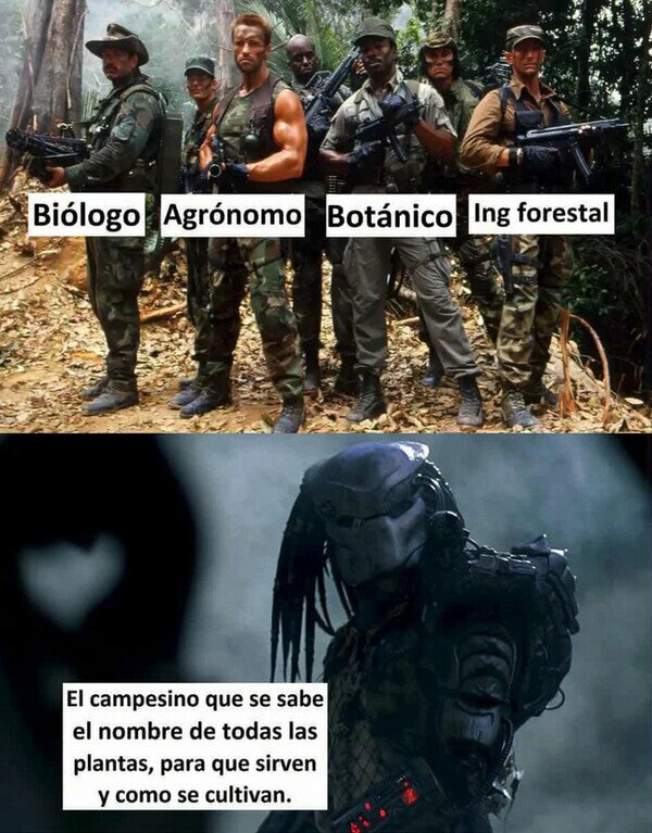 Meme_otros - Sabe más que todos juntos