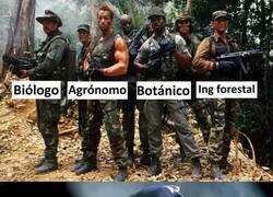 Enlace a Sabe más que todos juntos