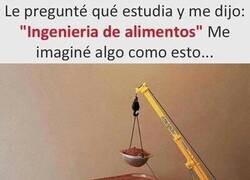 Enlace a Ingeniería de alimentos