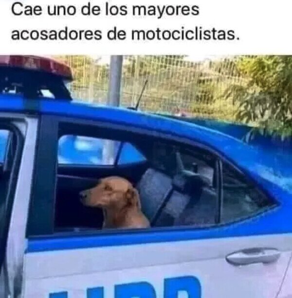 Otros - Ya se lo llevan detenido