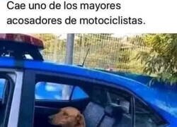 Enlace a Ya se lo llevan detenido