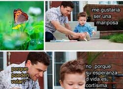 Enlace a Ojalá ser una mariposa