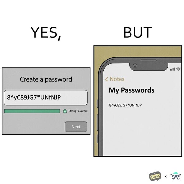Meme_otros - Seguridad insegura