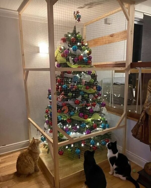 Meme_otros - El árbol ideal para casas con gatos