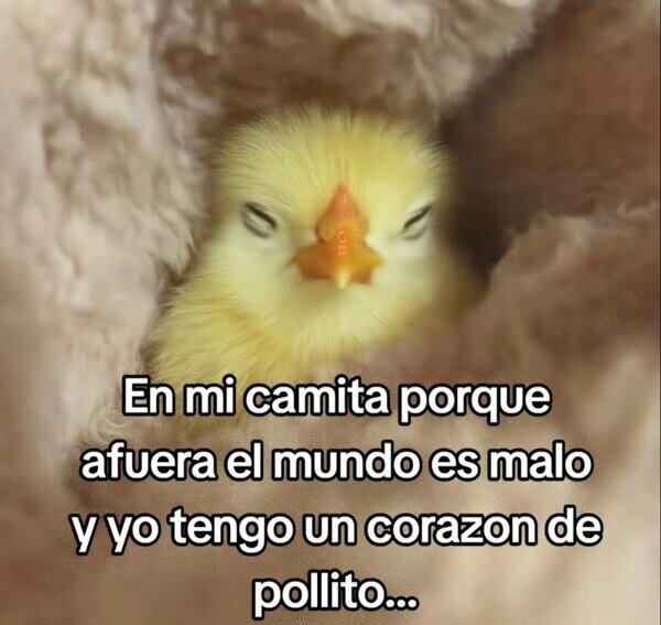 Meme_otros - Me protejo del mundo exterior