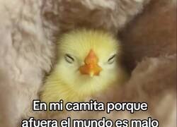 Enlace a Me protejo del mundo exterior