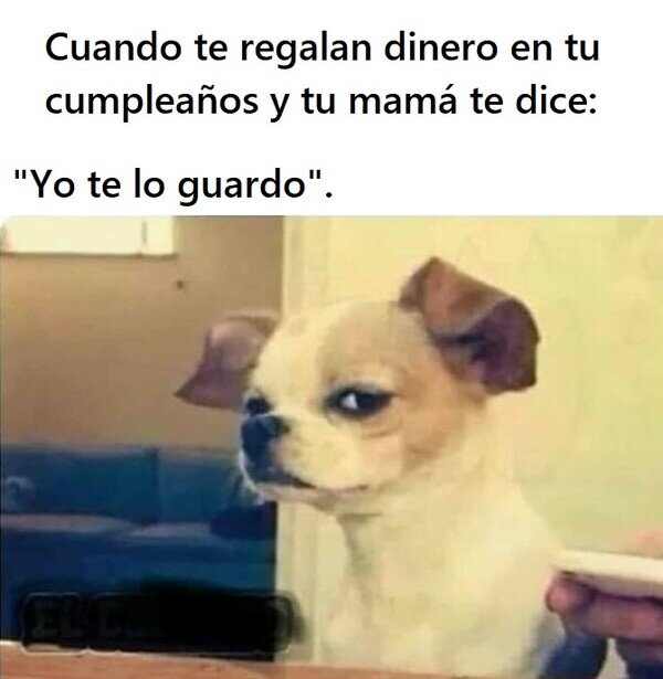 Meme_otros - Nunca confíes en esa frase