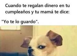 Enlace a Nunca confíes en esa frase