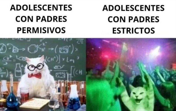 Meme_otros - Es la mera realidad