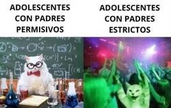 Enlace a Es la mera realidad