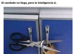 Enlace a La NASA lo está buscando